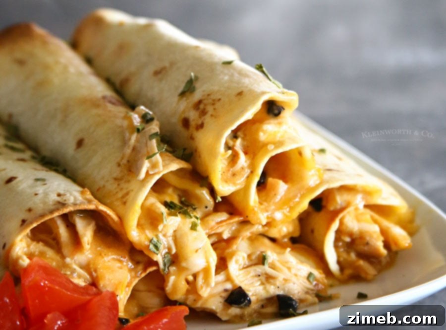 Crispy Baked Salsa Chicken Taquitos 3 Baked Salsa Chicken Taquitos - Ready to be rolled and baked for a crispy finish.