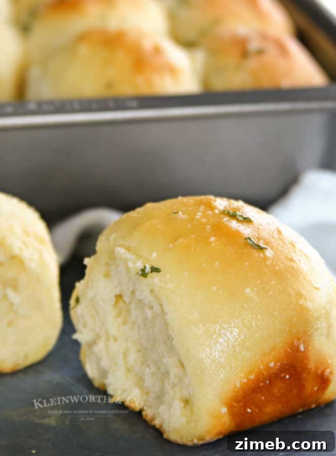 Garlic Parmesan Dinner Rolls in 30 Minutes 11 A close-up of light and fluffy 30-Minute Garlic Parmesan Dinner Rolls, highlighting their easy preparation.