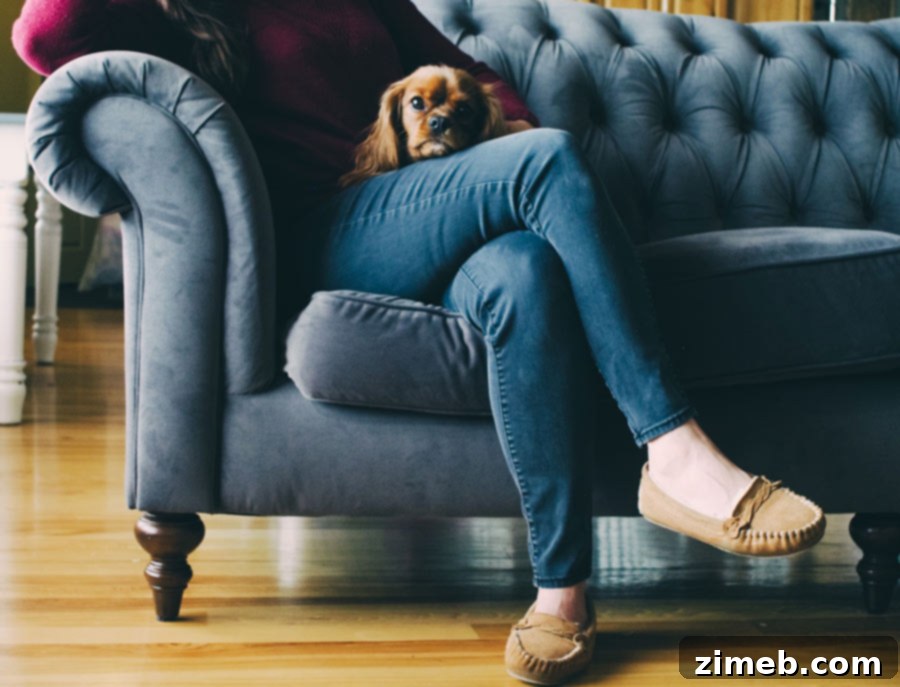 5 Essential Tips for Thriving in Your New State 5 Exploring Your New State After Moving