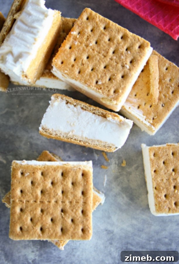 Effortless Lighter Ice Cream Treats 3 Recipe for Easy Skinny Ice Cream Sandwiches