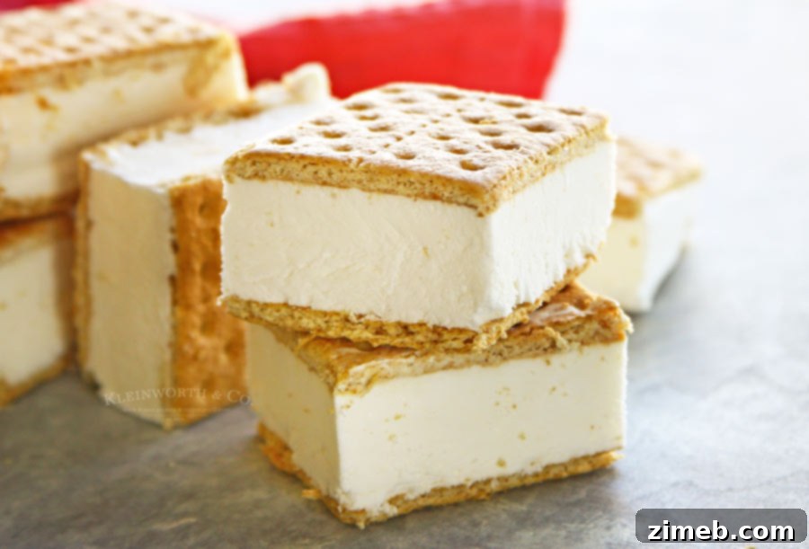 Effortless Lighter Ice Cream Treats 4 Easy Skinny Ice Cream Sandwiches
