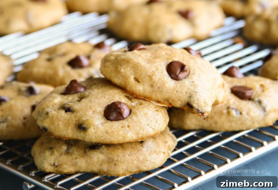 Apple-Kissed Chocolate Chip Delights 5 Chocolate Chip Applesauce Cookies recipe