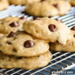 Chocolate Chip Applesauce Cookies