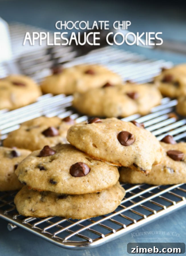 Apple-Kissed Chocolate Chip Delights 7 Chocolate Chip Applesauce Cookies
