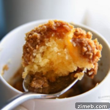 Quick Coffee Cake for Couples 9 5-Minute Coffee Cake for Two - Microwave Mug Cake Recipe