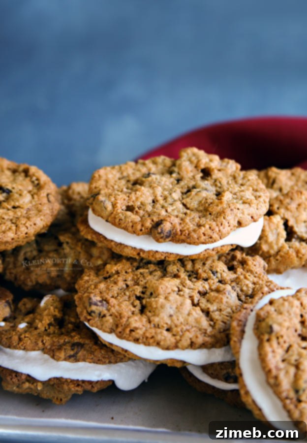 Close-up of Peanut Butter Oatmeal Cream Pie Cookies showing chocolate chips and walnuts