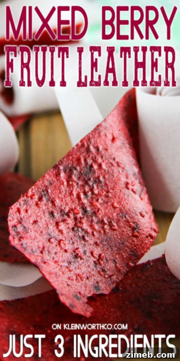Berry Patch Fruit Strips 2 Mixed Berry Fruit Leather