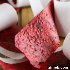 Berry Patch Fruit Strips 11 Mixed Berry Fruit Leather recipe card image