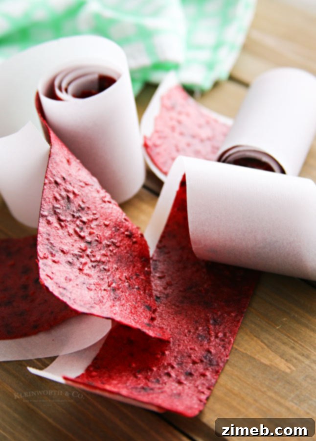 Berry Patch Fruit Strips 3 Mixed Berry Fruit Leather recipe