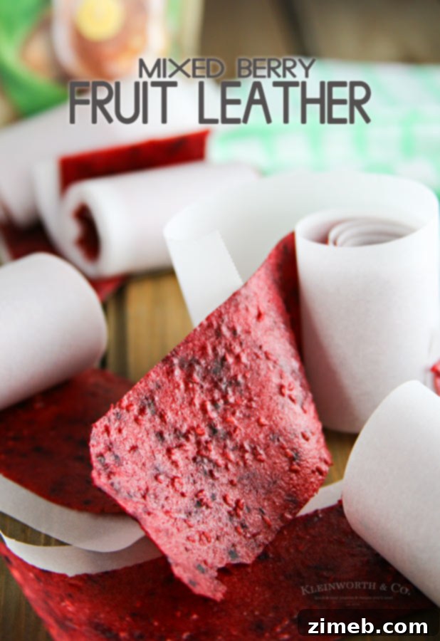 Berry Patch Fruit Strips 6 Mixed Berry Fruit Leather
