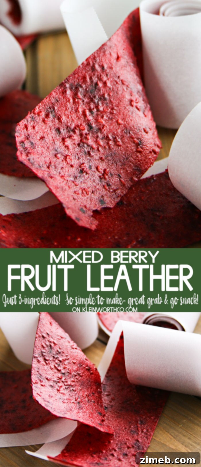 Berry Patch Fruit Strips 10 Mixed Berry Fruit Leather