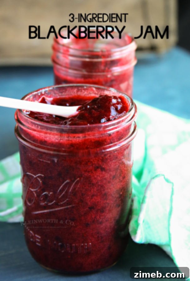 Effortless Three Ingredient Blackberry Jam 6 No cook 3-Ingredient Blackberry Jam - quick and delicious