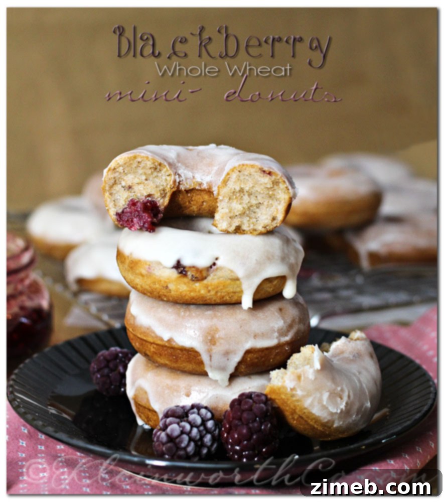Effortless Three Ingredient Blackberry Jam 9 Blackberry Whole Wheat Mini-Donuts {Recipe} - healthy and delicious