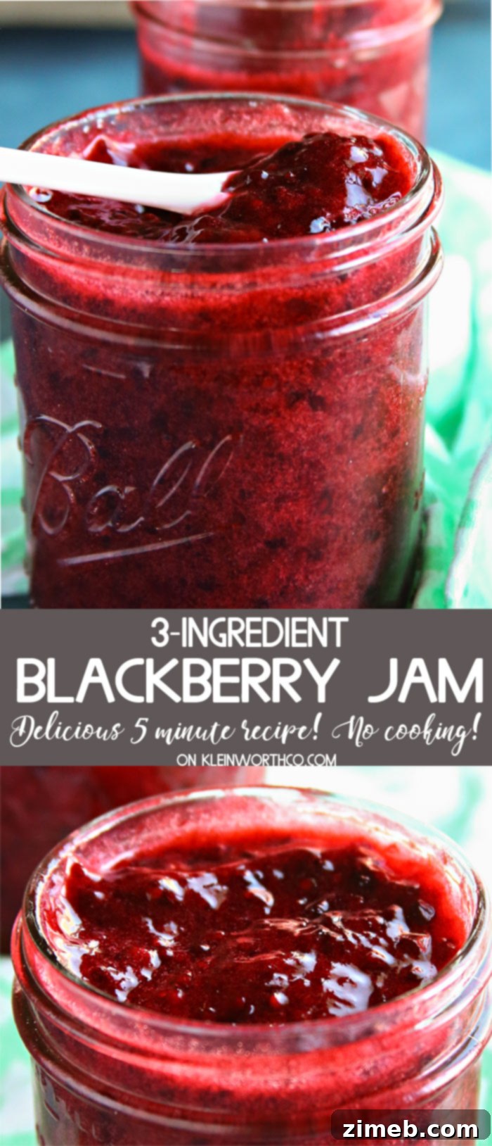 Effortless Three Ingredient Blackberry Jam 10 Delicious 3-Ingredient Blackberry Jam