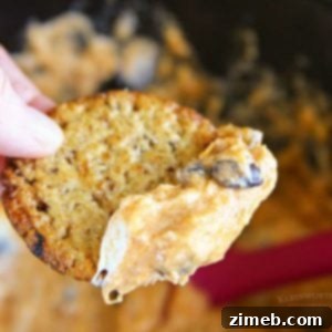 Slow Cooker Fiesta Cheese Dip