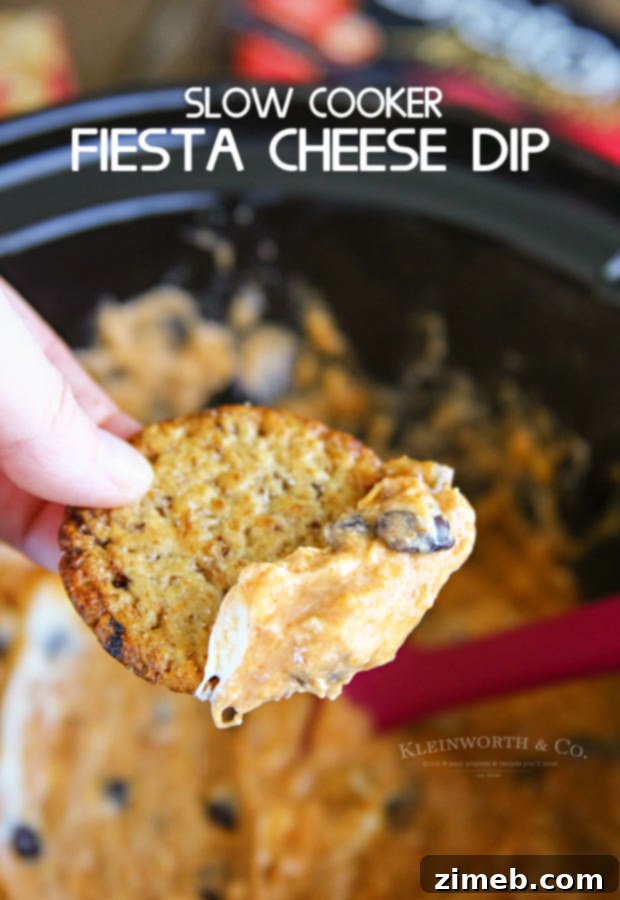 Close-up of Slow Cooker Fiesta Cheese Dip, garnished and ready to serve.