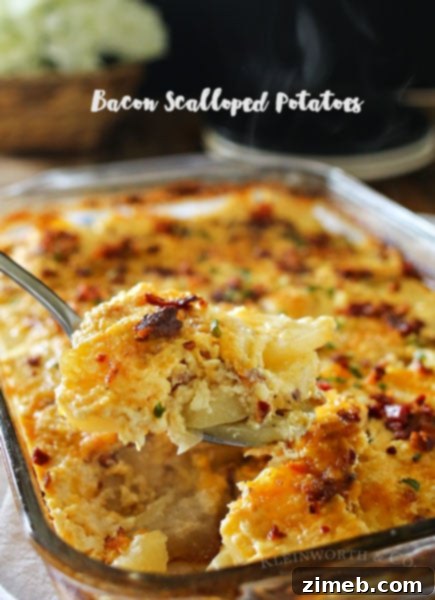 Smoky Bacon Chicken Noodle Bake 9 Bacon Scalloped Potatoes Recipe