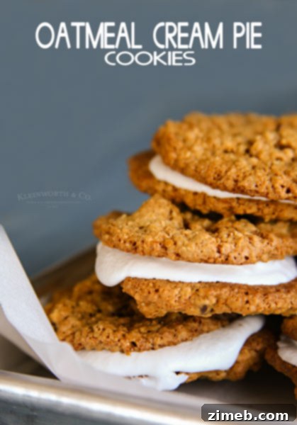Edible Gluten-Free Cookie Dough 10 Oatmeal Cream Pie Cookies - A classic comfort treat