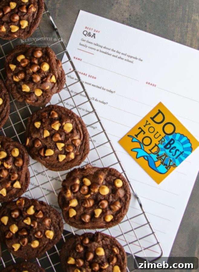 Fudgy Peanut Butter Chocolate Brownie Cookies 3 Close-up of Peanut Butter Chocolate Brownie Cookies ready for dessert