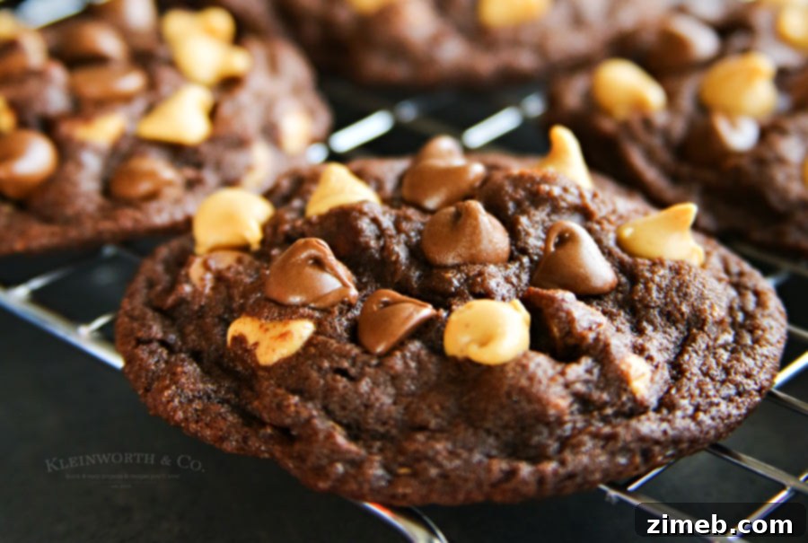 Fudgy Peanut Butter Chocolate Brownie Cookies 7 Peanut Butter Chocolate Brownie Cookies without chilling the dough