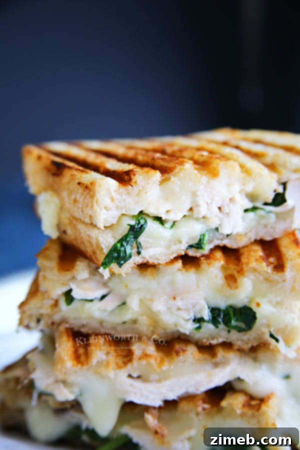 Chicken, Spinach, and Grilled Goat Cheese Sandwich 2 Gourmet Chicken & Spinach Grilled Goat Cheese Sandwich