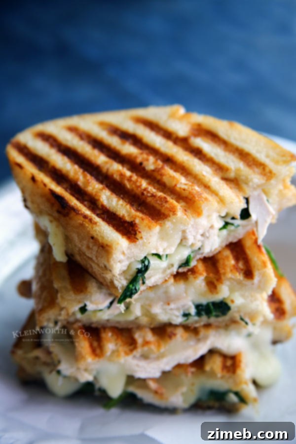 Chicken, Spinach, and Grilled Goat Cheese Sandwich 3 Delicious Chicken & Spinach Grilled Goat Cheese Sandwich
