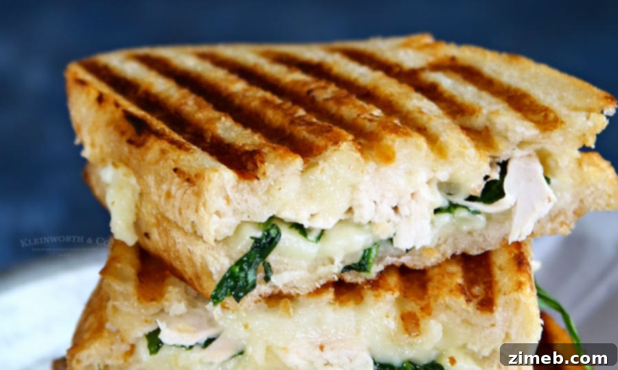 Chicken, Spinach, and Grilled Goat Cheese Sandwich 4 Best Chicken & Spinach Grilled Goat Cheese Sandwich Recipe