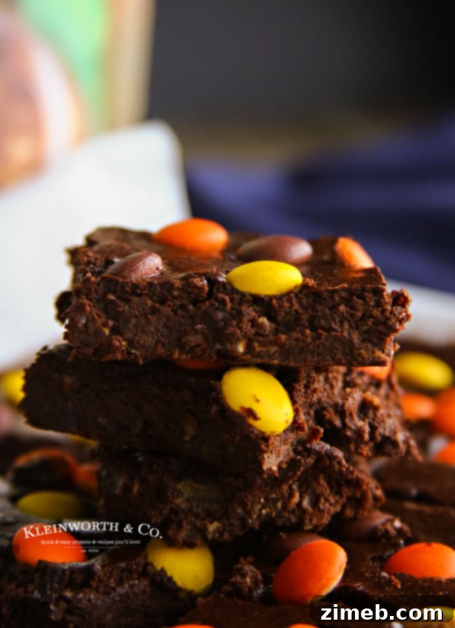 Fudgy Peanut Butter Brownie Bars 3 Flourless Peanut Butter Pieces Brownies - a healthier dessert option