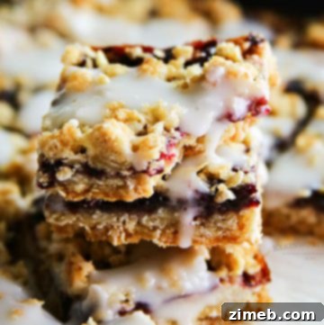 Skinny Blackberry Cream Oat Bars