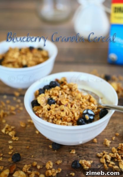 Sweet & Crunchy Banana Macadamia Minis 10 Delicious Blueberry Granola Cereal - a healthy breakfast option.