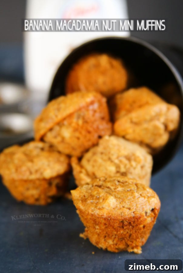Sweet & Crunchy Banana Macadamia Minis 6 Easy Banana Macadamia Nut Mini Muffins recipe perfect for home bakers.