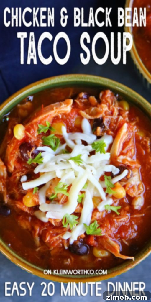 Chicken and Black Bean Taco Soup, a flavorful meal