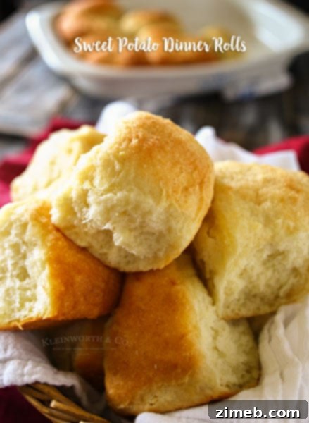 Fluffy Sweet Potato Dinner Rolls arranged in a baking dish, ready to be served.