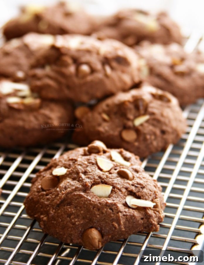 Luscious Chocolate Almond Ricotta Delights 2 Best Chocolate Cookie Recipe - Discover the unique texture ricotta brings to baking.