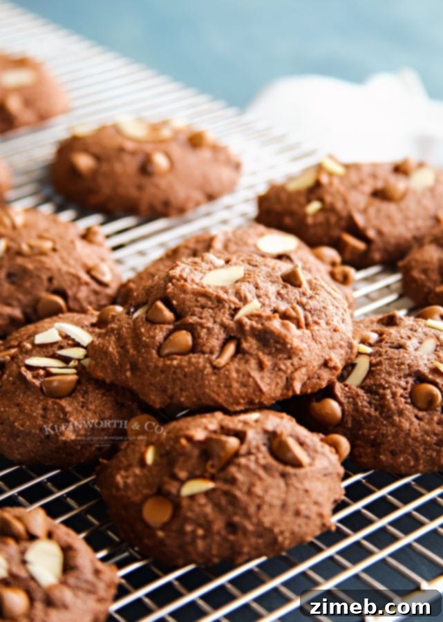 Luscious Chocolate Almond Ricotta Delights 3 Holiday Cookie Recipes - Enjoy the rich chocolate and almond flavors in every bite.