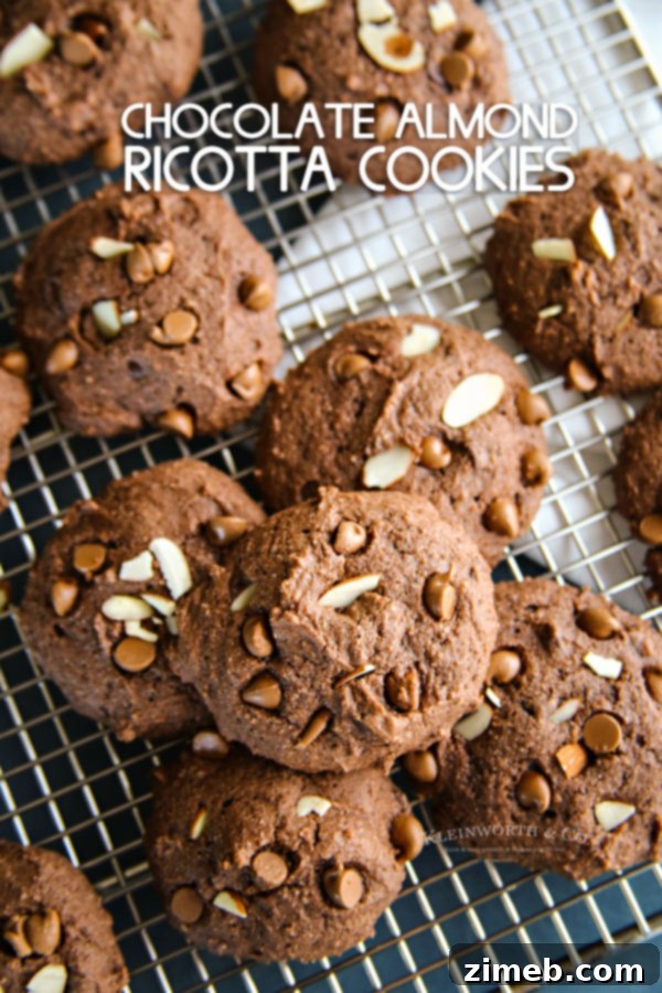 Luscious Chocolate Almond Ricotta Delights 8 Chocolate Almond Ricotta Cookies - Your guide to baking delicious cookies.