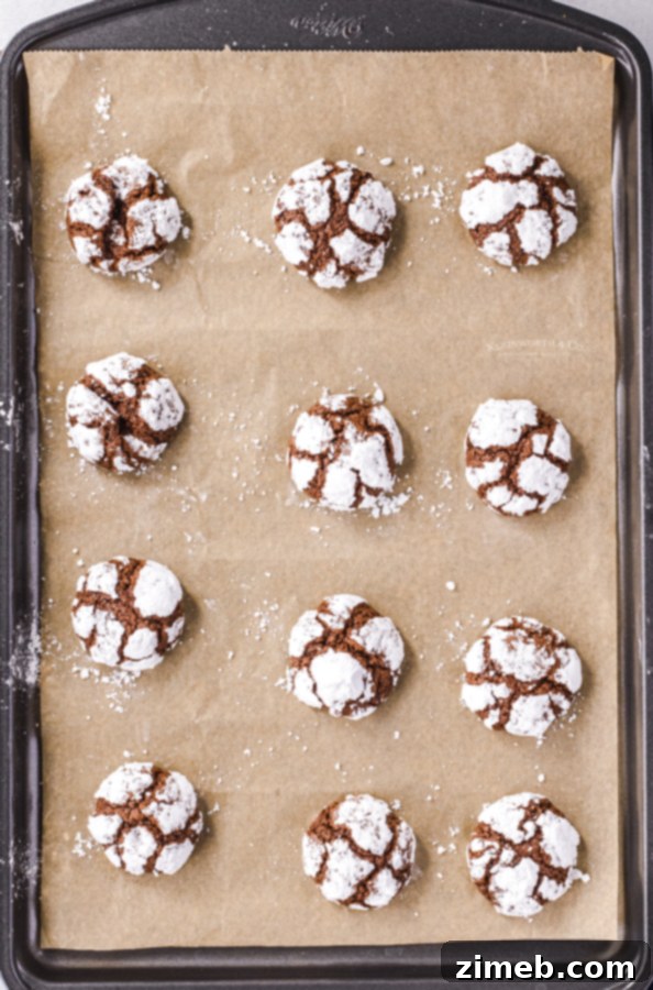 Baked Crinkle Cookies arranged beautifully