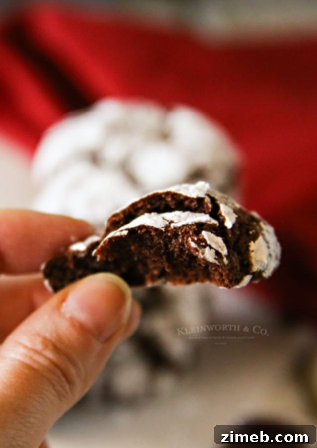 Easy Chocolate Crinkle Cookies ready to be baked