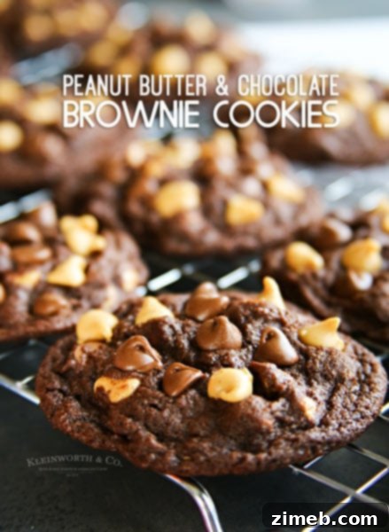 Foolproof Sugar Cookies 18 Peanut Butter Chocolate Brownie Cookies, a rich and delightful combination.