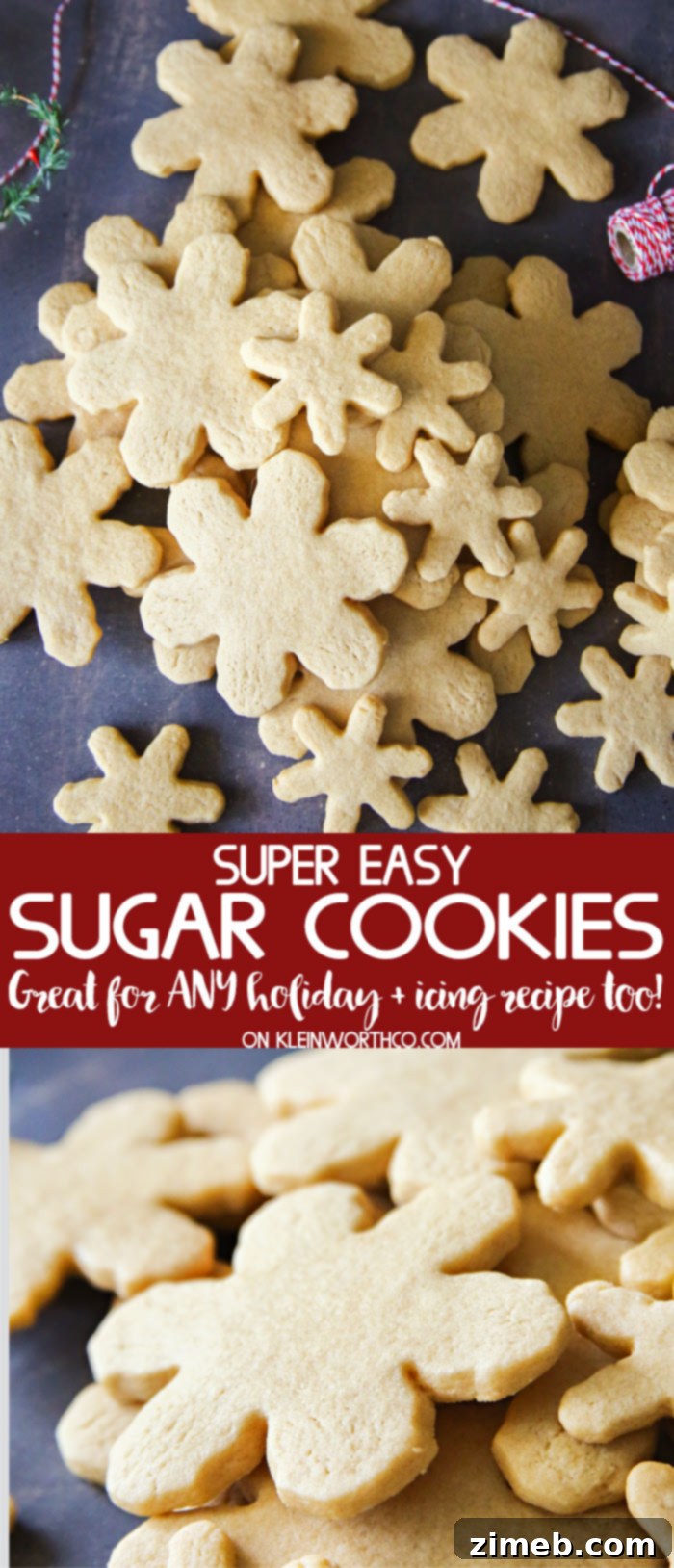 Foolproof Sugar Cookies 20 Easy Sugar Cookies, beautifully arranged and ready to be enjoyed.