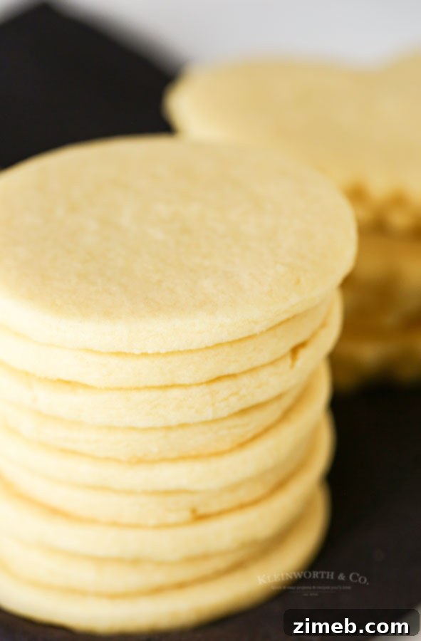 Foolproof Sugar Cookies 10 Round Sugar Cookies, perfect for any decoration or simple enjoyment.