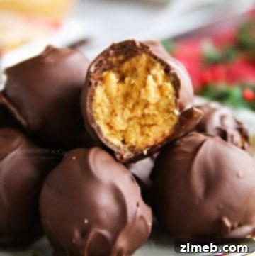 Easy No-Bake Peanut Butter Balls recipe, freshly dipped in chocolate.