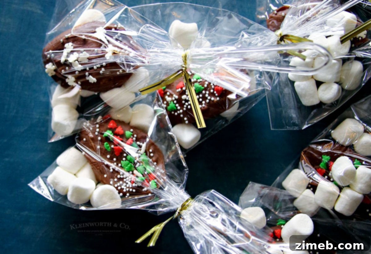 Hot Chocolate dipping spoons