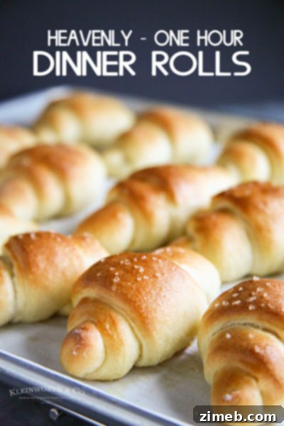 Heavenly One Hour Dinner Rolls - a quick and delicious bread recipe