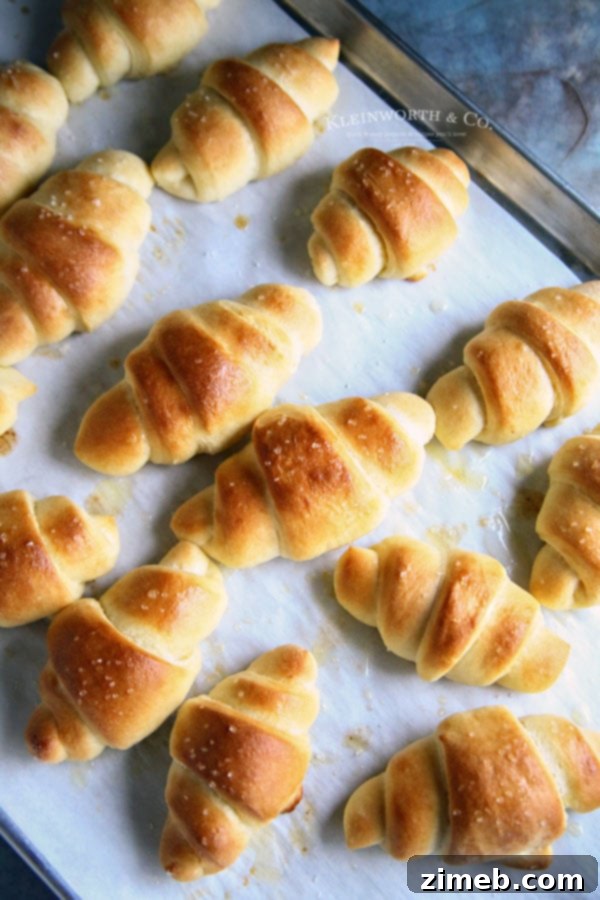 Best Dinner Rolls Recipe - fluffy, golden-brown, and ready in an hour.