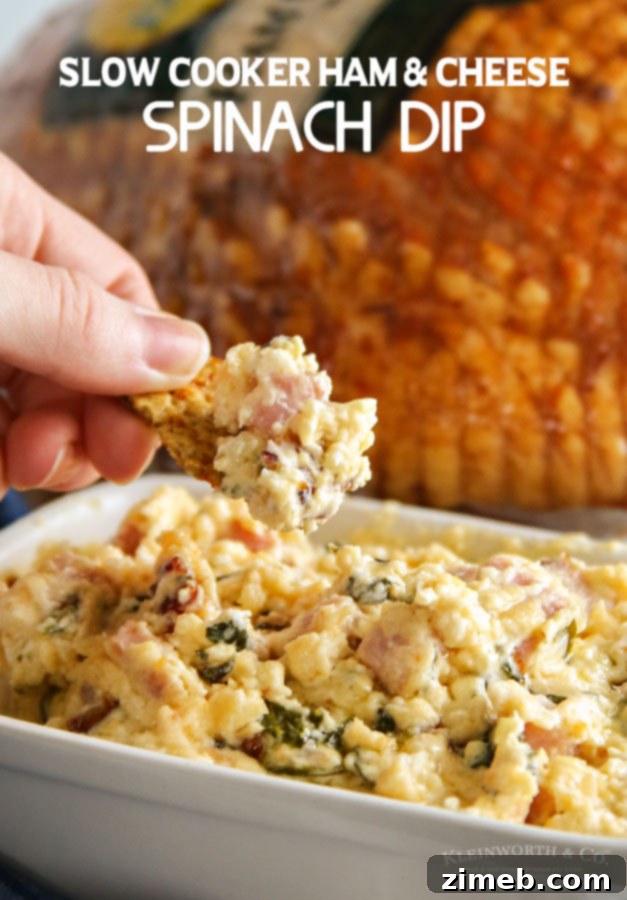 Slow Cooker Ham & Cheese Spinach Dip, a fantastic warm appetizer for any gathering.