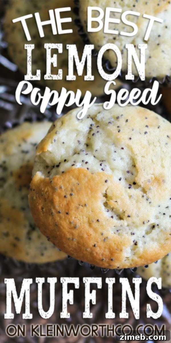 Sunshine Lemon Poppy Seed Muffins 2 Delightful Lemon Poppy Seed Muffins, perfect for any breakfast or snack
