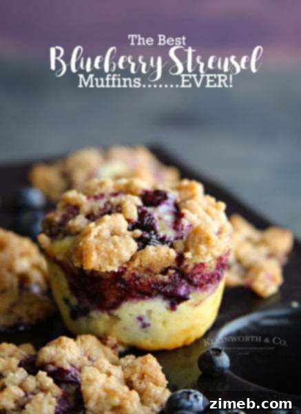 Sunshine Lemon Poppy Seed Muffins 14 Delicious Best Blueberry Streusel Muffins