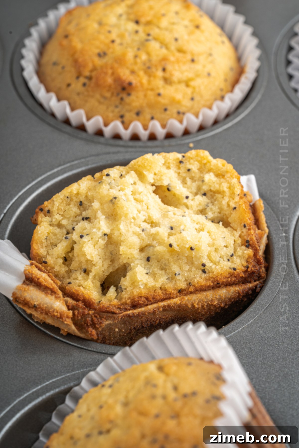Sunshine Lemon Poppy Seed Muffins 16 Inside view of a fluffy Lemon Poppy Seed Muffin, showing its texture