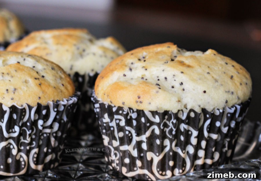 Sunshine Lemon Poppy Seed Muffins 4 Best ever Lemon Poppy Seed Muffins recipe